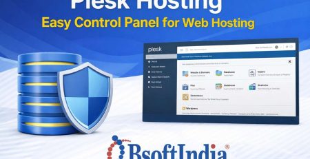 Plesk-Hosting