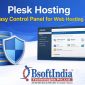 Plesk-Hosting